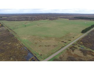Property photo 27 - REAL ESTATE AUCTION - 1,428+/- ACRES OFFERED IN 10 TRACTS IN PRICE CO., WI